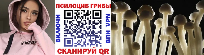 купить наркоту  Туймазы  Псилоцибиновые грибы прущие грибы 