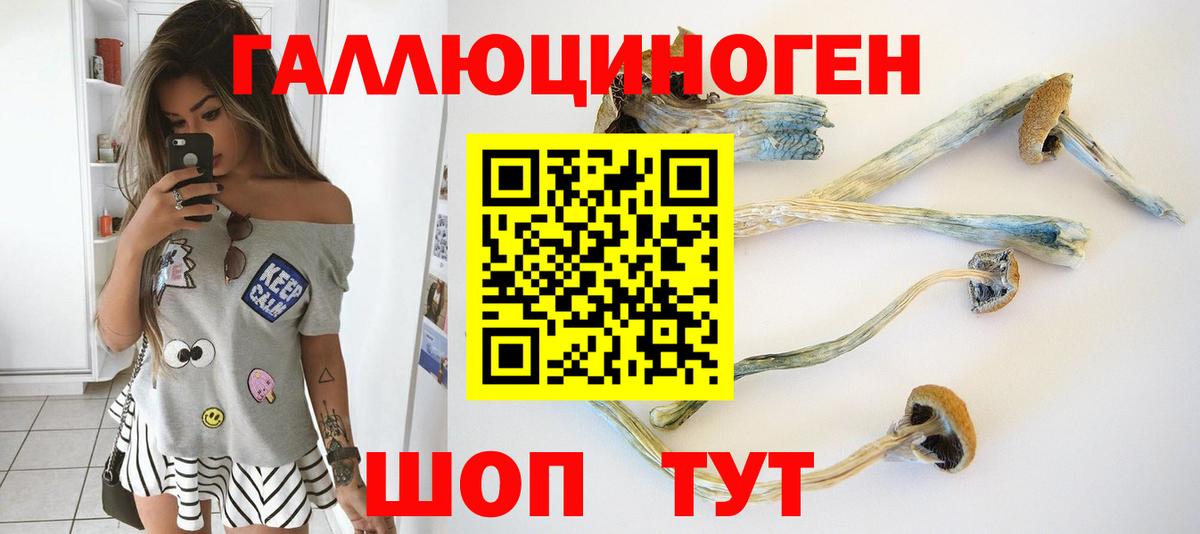 Псилоцибиновые грибы Psilocybine cubensis  Вход с VPN  Туймазы 